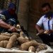 کاساوا؛ غذای محبوب میلیونها نفر، اما کشندهترین خوراک جهان 5 https://asreeno.ir/wp-content/uploads/2025/02/6174636.jpg کاساوا؛ غذای محبوب میلیونها نفر، اما کشندهترین خوراک جهان