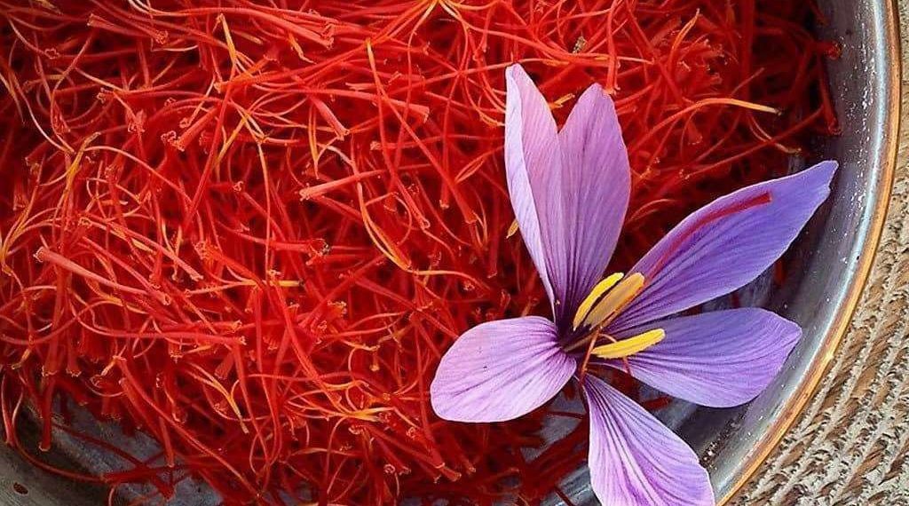 قاچاق زعفران، ضربه‌ای به اقتصاد ایران