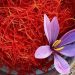 قاچاق زعفران، ضربه‌ای به اقتصاد ایران
