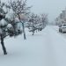 سورپرایز سفید آسمان در ۶ فروردین!