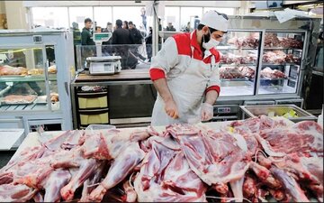 گوشت ارزانتر در میادین؛ صرفهجویی ۳۰ درصدی برای خانوادهها با حذف واسطهها 1 https://asreeno.ir/wp-content/uploads/2025/05/6197550.jpg گوشت ارزانتر در میادین؛ صرفهجویی ۳۰ درصدی برای خانوادهها با حذف واسطهها