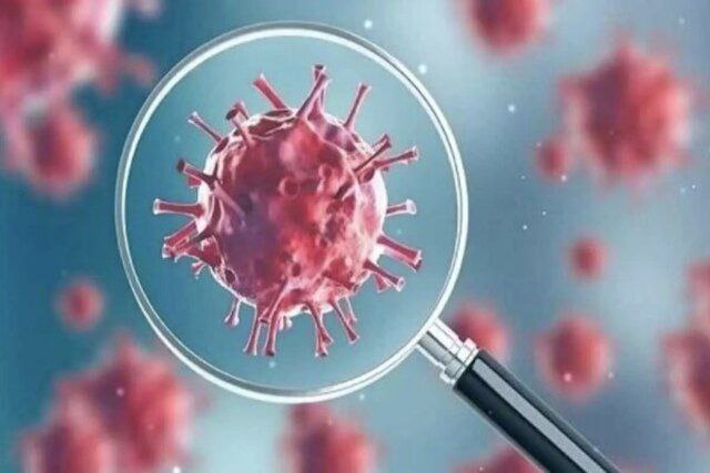 هشدار آرام کرونا؛ بازگشت تدریجی بیماران به مراکز درمانی ؛ سویه قدیمی یا جهش جدید؟ 1 https://asreeno.ir/wp-content/uploads/2025/05/photo_2025-05-11_09-13-13.jpg هشدار آرام کرونا؛ بازگشت تدریجی بیماران به مراکز درمانی ؛ سویه قدیمی یا جهش جدید؟