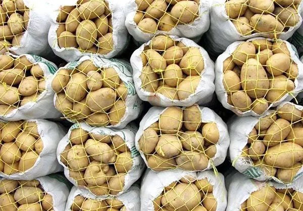 نفسی تازه در سفرهها؛ قیمت سیبزمینی و پیاز ارزان شد 1 https://asreeno.ir/wp-content/uploads/2025/07/IMG_20250709_135701_348.jpg نفسی تازه در سفرهها؛ قیمت سیبزمینی و پیاز ارزان شد