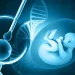 دانشگاه علوم پزشکی ایران ادعای گم‌شدن جنین‌های بیمارستان آبان را رد کرد
