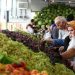 جدیدترین قیمت میوه و ترهبار در بازار تهران؛۲۳ شهریور ۱۴۰۴ 7 https://asreeno.ir/wp-content/uploads/2025/09/میوه-تره-بار2.jpg جدیدترین قیمت میوه و ترهبار در بازار تهران؛۲۳ شهریور ۱۴۰۴
